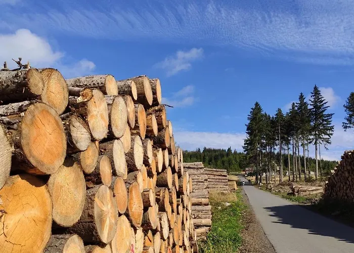 Harz Blick