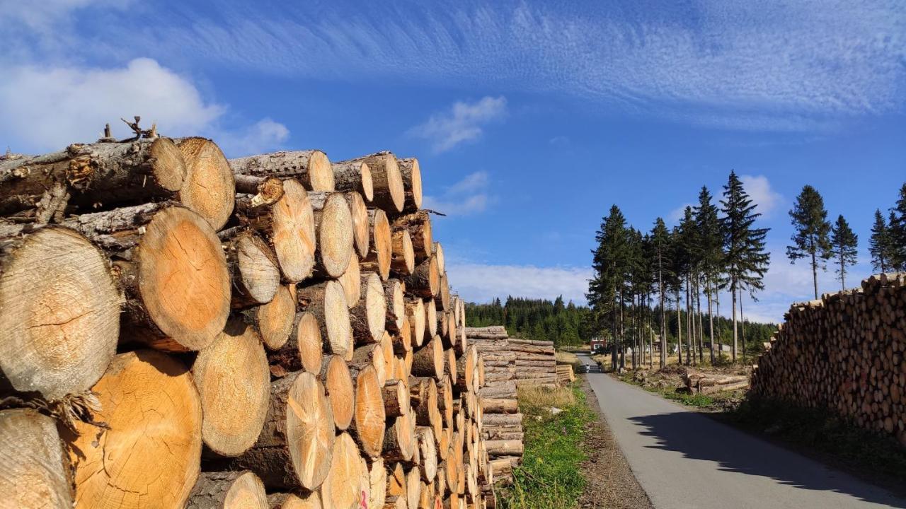 Harz Blick