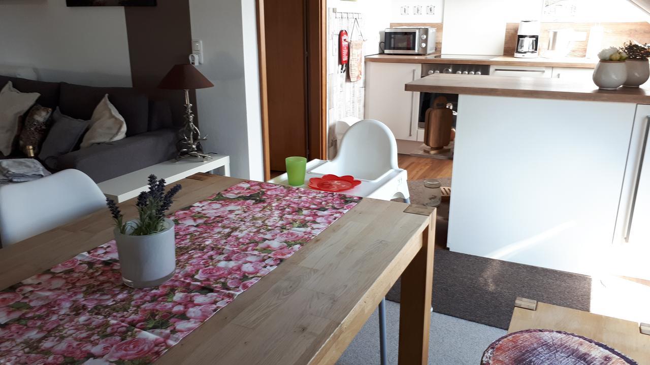 Harz Blick Apartment